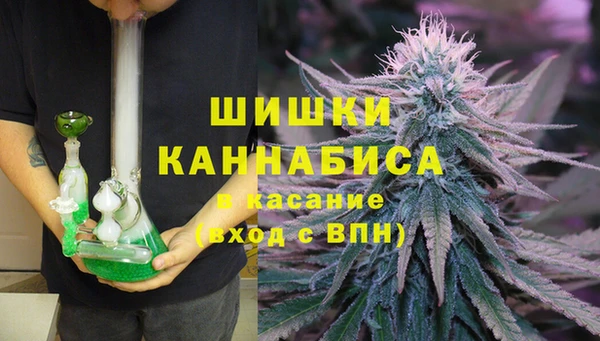 спайс Сясьстрой