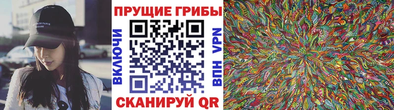 Галлюциногенные грибы ЛСД Кувандык